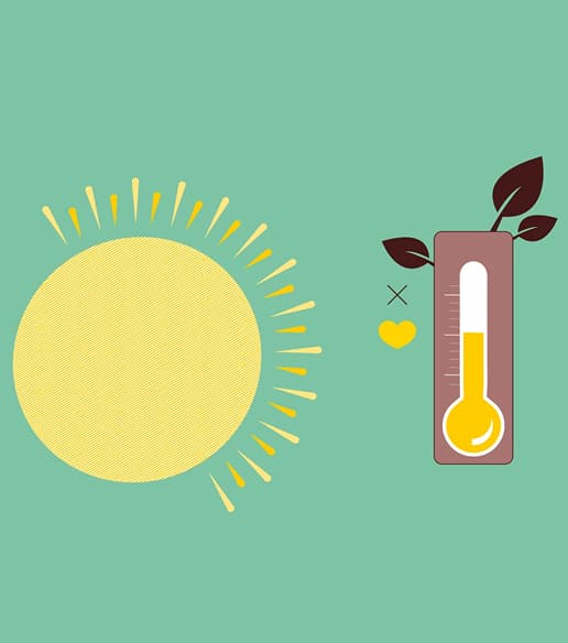 Acționăm pentru climat.