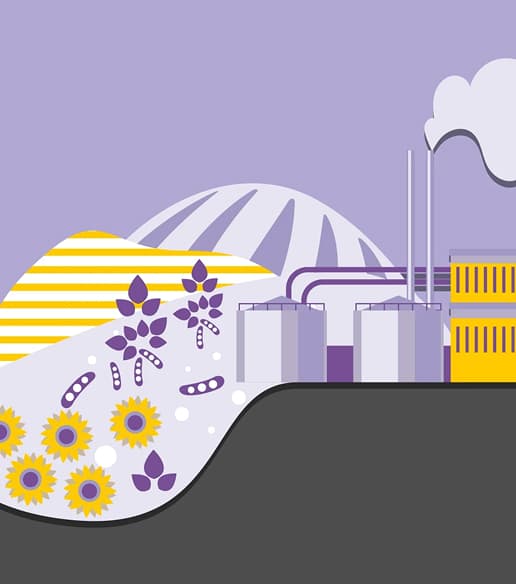 Acționăm pentru dezvoltarea industriei locale.