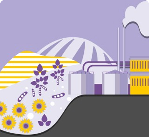 Acționăm pentru dezvoltarea industriei locale-clasic