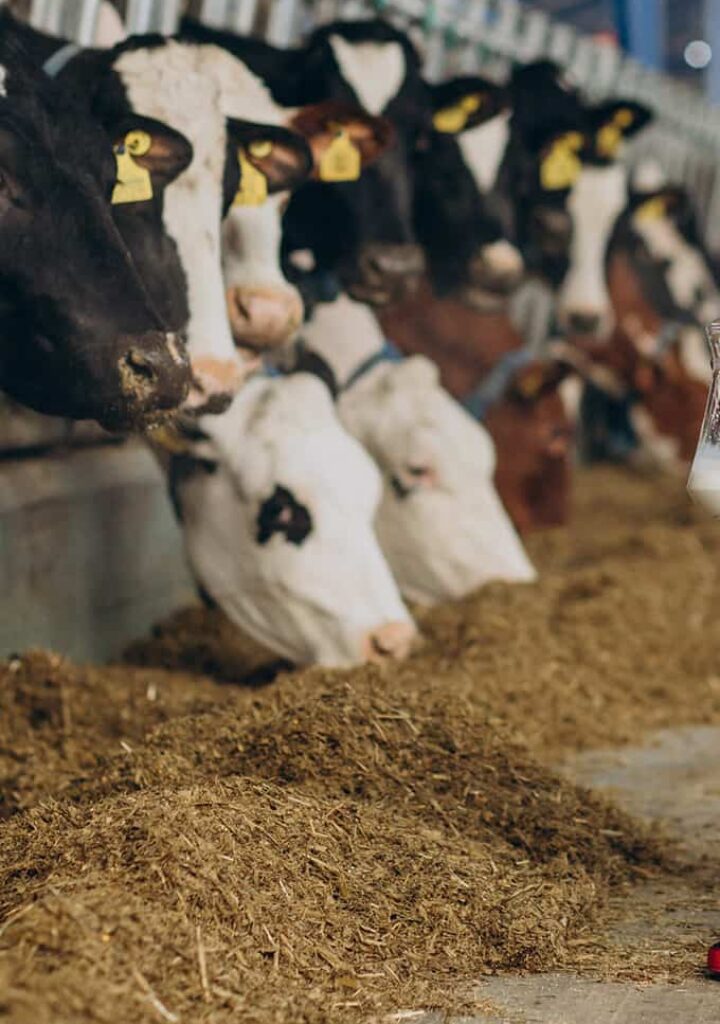 și nutriție animală.-modern