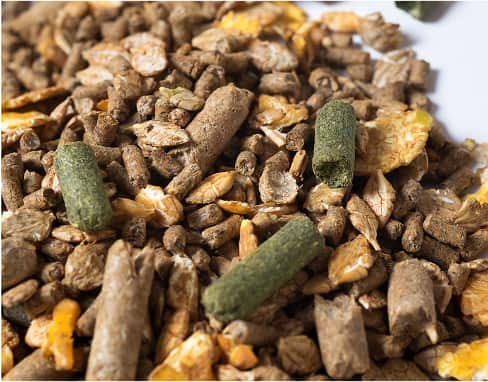 Utilizarea semințelor defloarea-soarelui