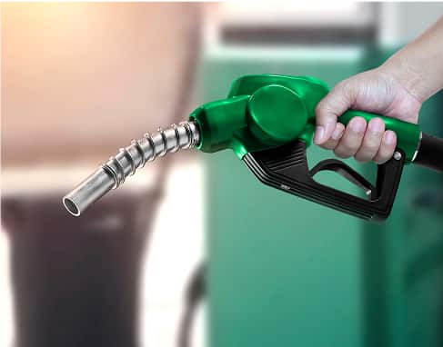 Utilizarea semințelor de rapiță