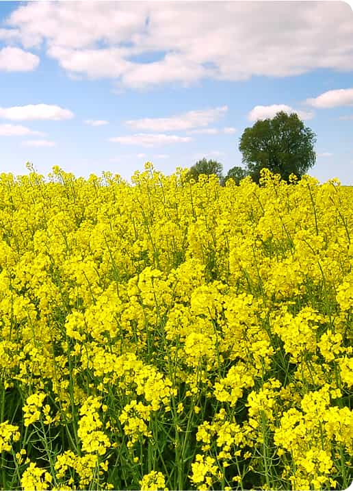 Eficiență în fiecare etapă