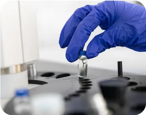 Utilizarea semințelor defloarea-soarelui