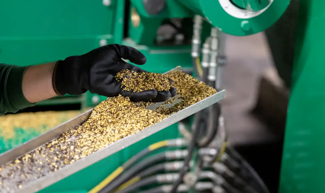 Sunflower seeds uses